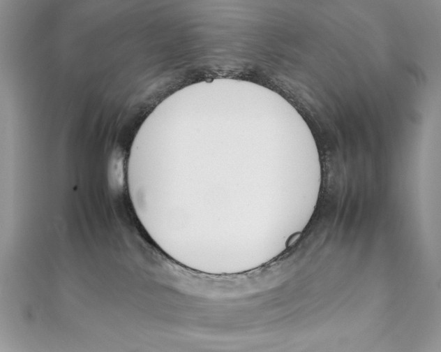 X0000111430042200908031341