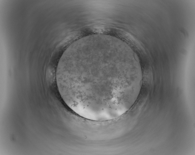 X0000111430043200908031341