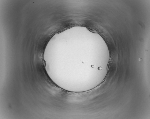 X0000111430045200908031341