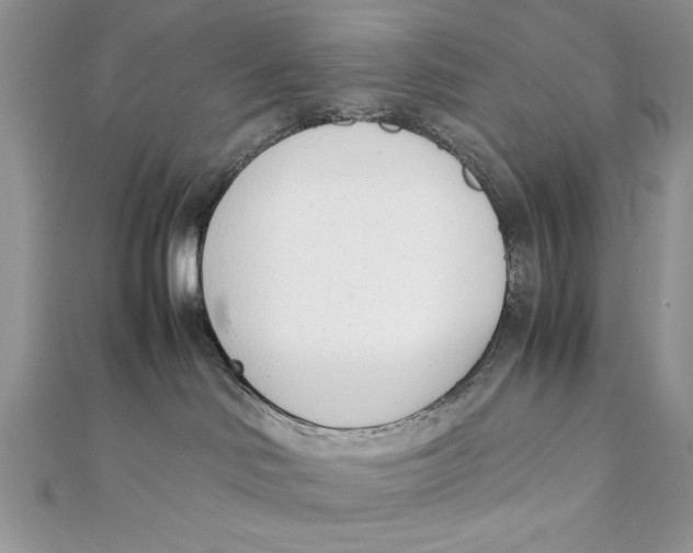 X0000111430046200908031341