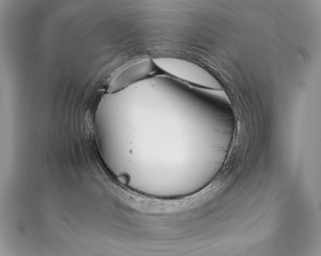 X0000111430048200908031341