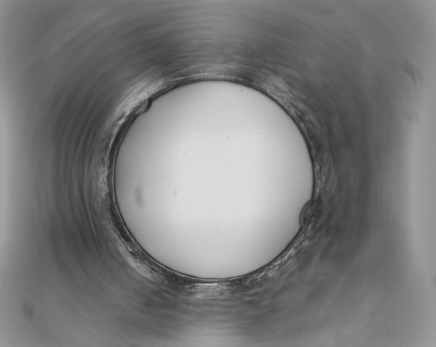 X0000111430050200908031340