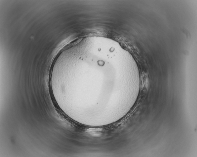 X0000111430051200908031340