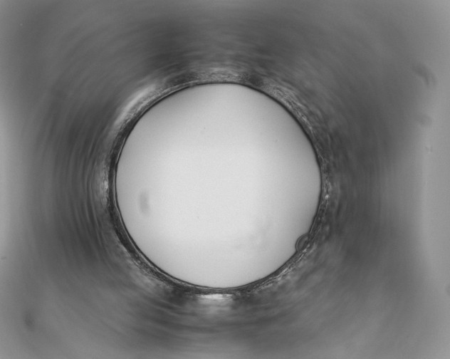 X0000111430053200908031340