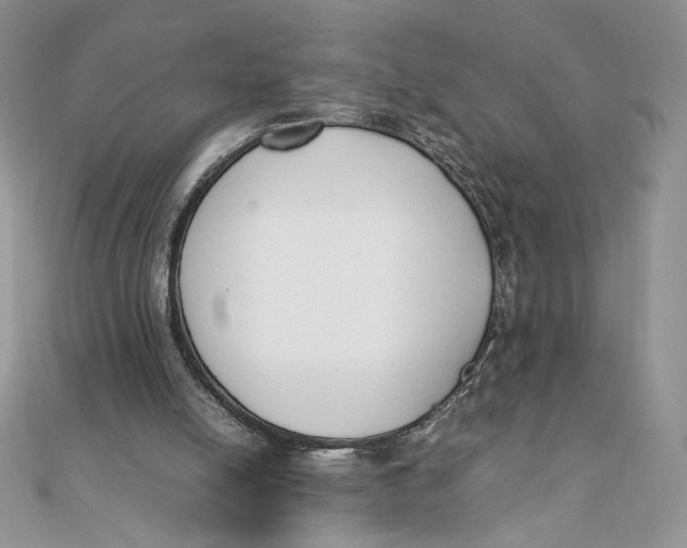 X0000111430054200908031340