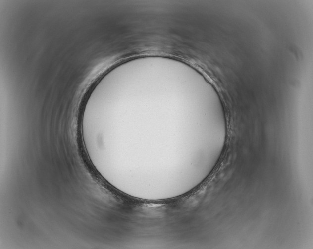 X0000111430055200908031340