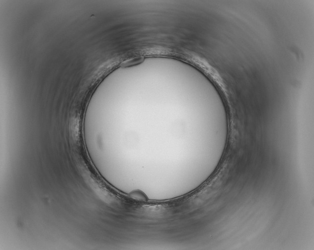 X0000111430057200908031340