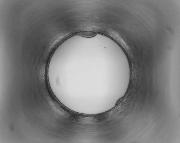 X0000111430058200908031340