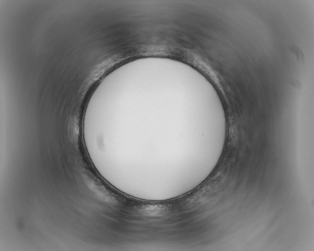 X0000111430059200908031340