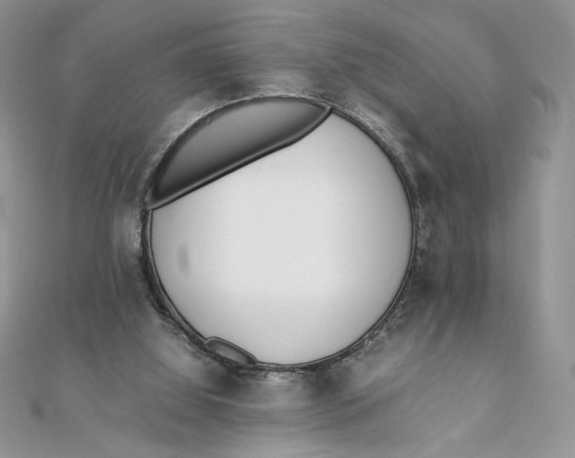 X0000111430060200908031340