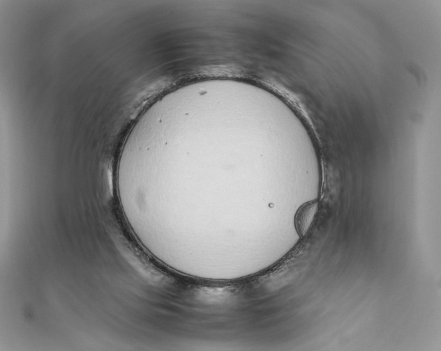 X0000111430061200908031340