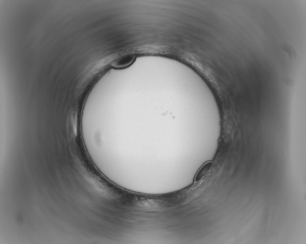 X0000111430062200908031340