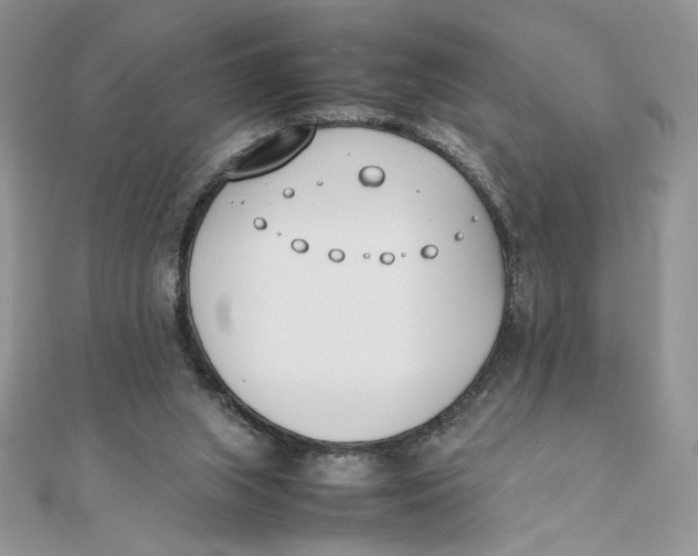 X0000111430063200908031340