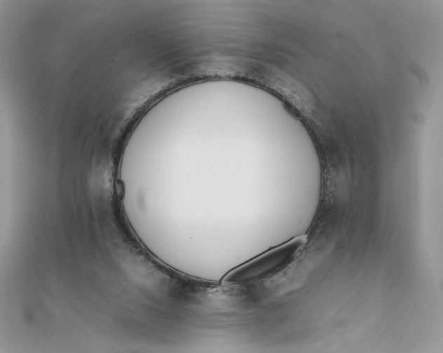 X0000111430064200908031340