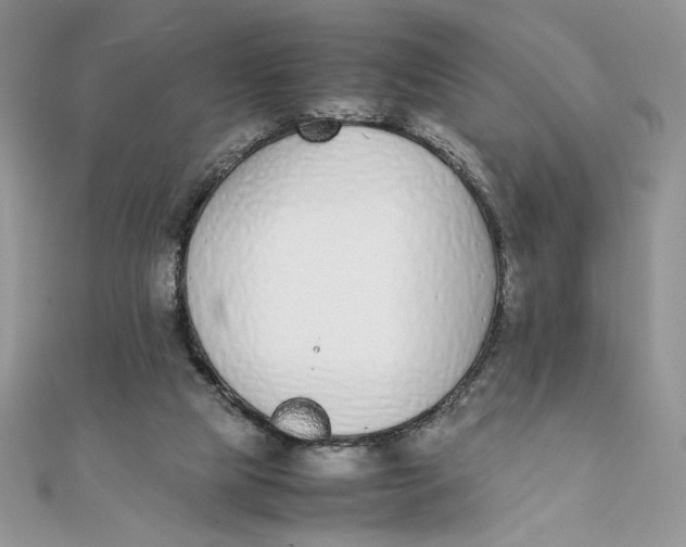 X0000111430065200908031340