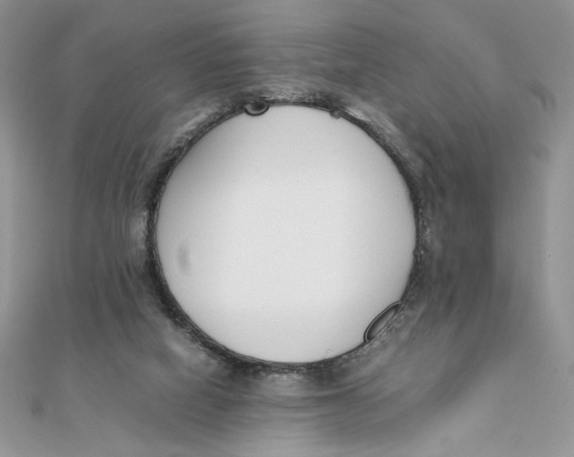 X0000111430066200908031340