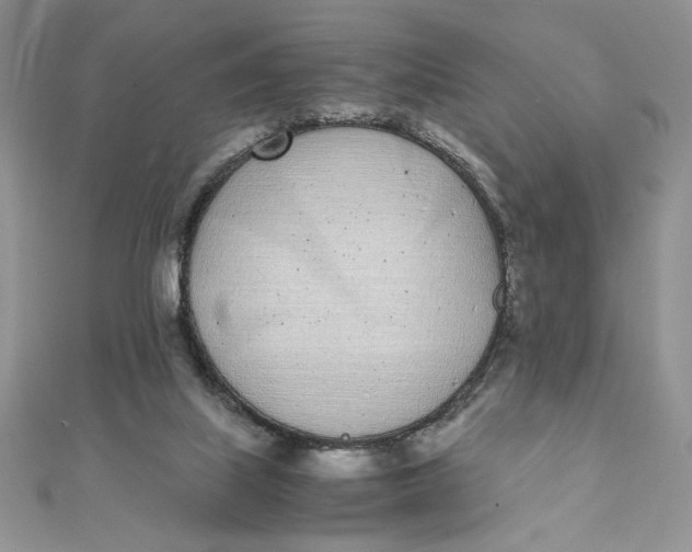 X0000111430067200908031340