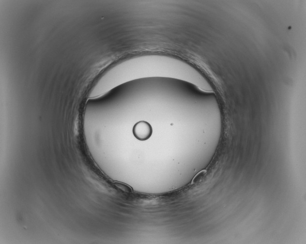 X0000111430068200908031340