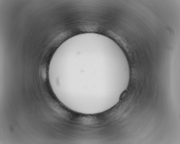 X0000111430069200908031340