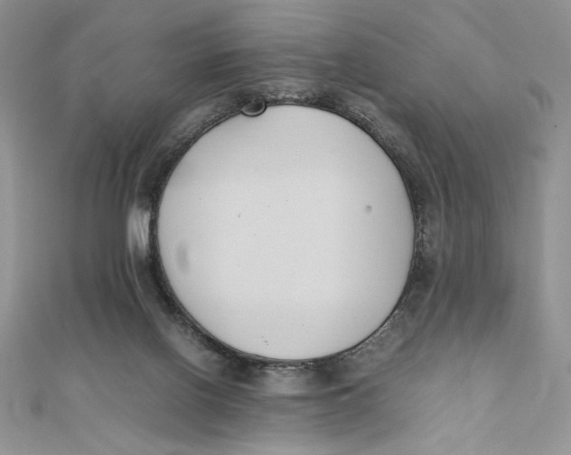 X0000111430070200908031340