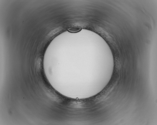 X0000111430071200908031340