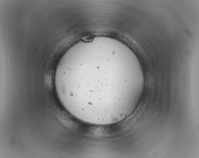 X0000111430074200908031340