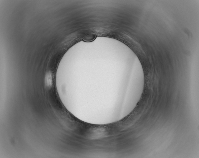 X0000111430075200908031340
