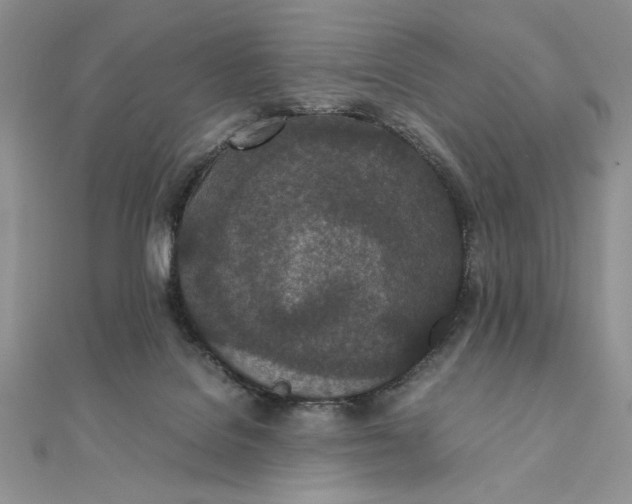 X0000111430076200908031340