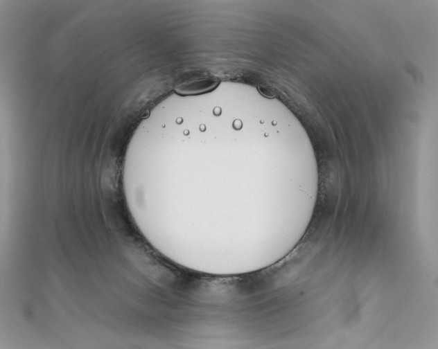 X0000111430078200908031340