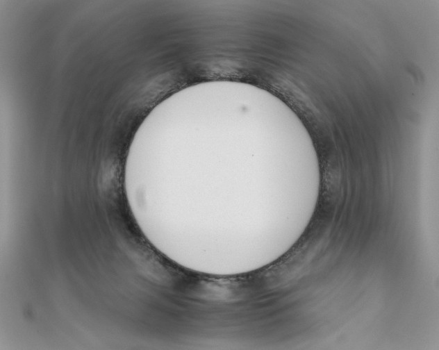 X0000111430079200908031340