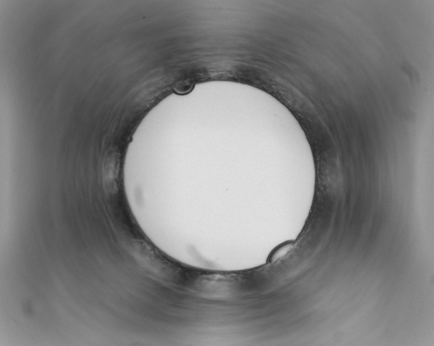 X0000111430082200908031340