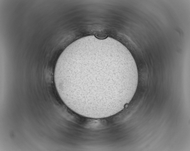 X0000111430083200908031340