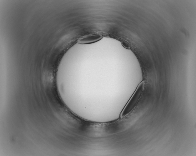 X0000111430084200908031340