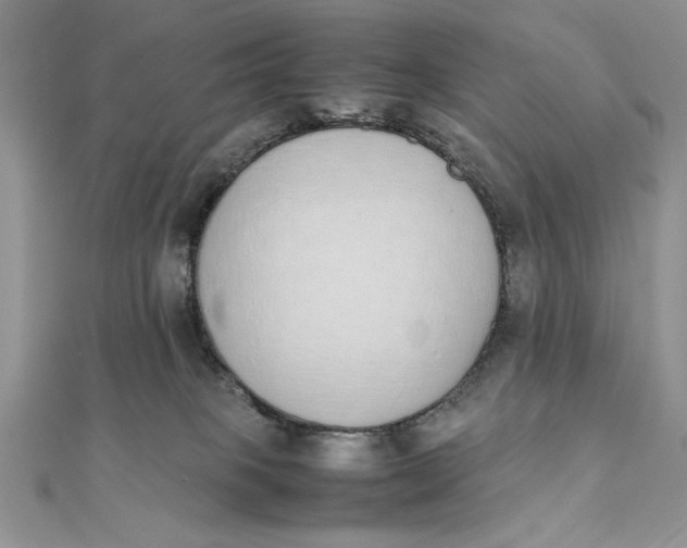 X0000111430085200908031340