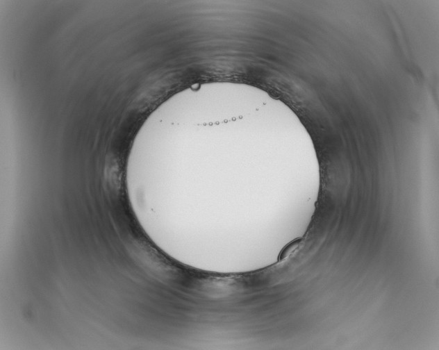 X0000111430086200908031340