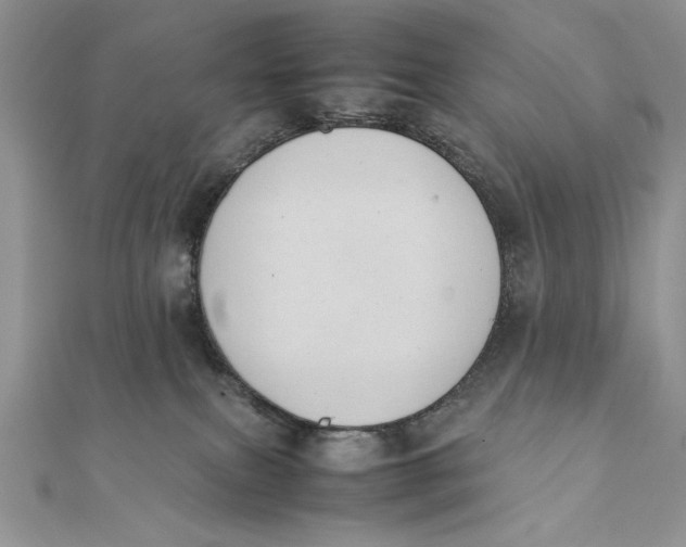 X0000111430087200908031340