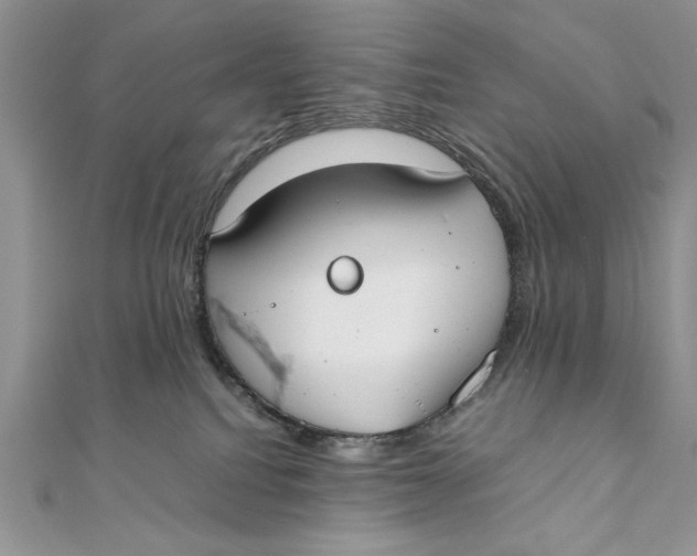 X0000111430088200908031340