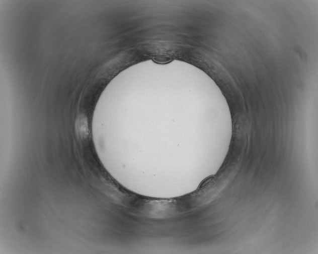 X0000111430089200908031340