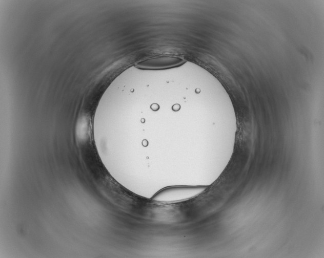 X0000111430095200908031340