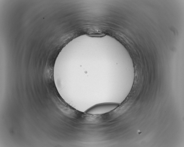 X0000111430096200908031340