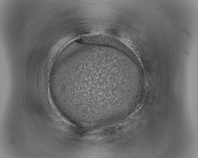 X0000111430097200908031340