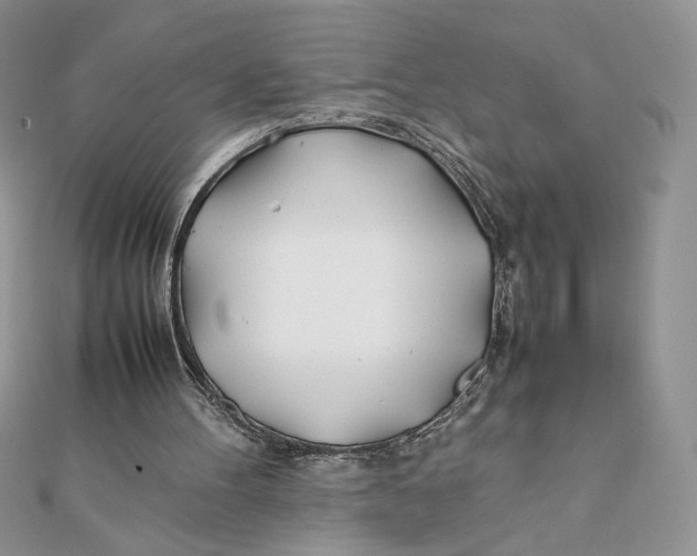 X0000111430100200908031340