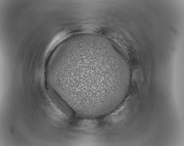 X0000111430101200908031340