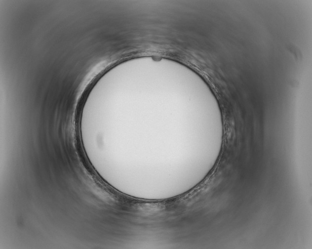 X0000111430102200908031340