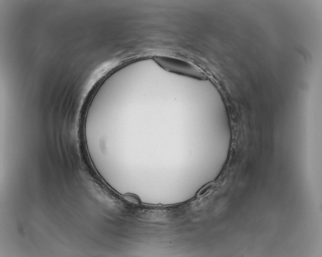 X0000111430104200908031340