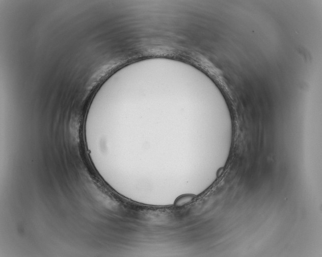 X0000111430106200908031340