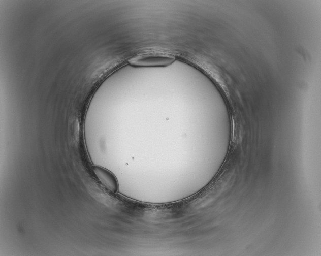 X0000111430109200908031340