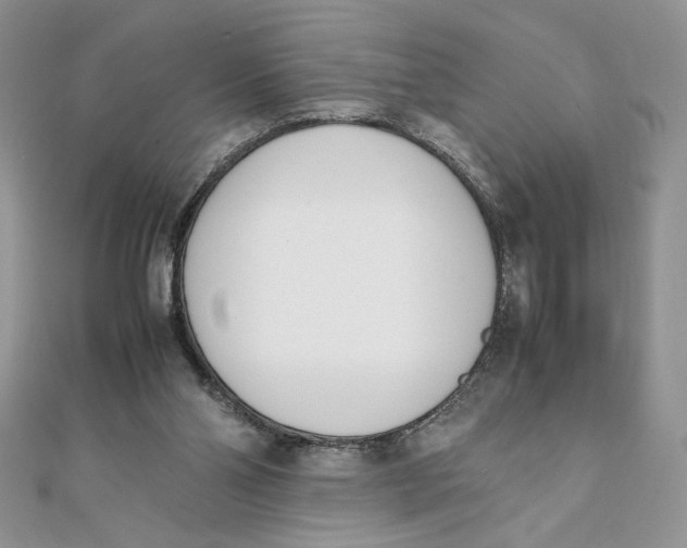 X0000111430110200908031340