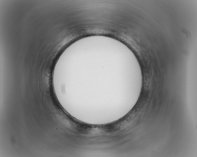 X0000111430111200908031340