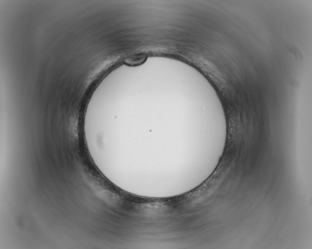 X0000111430112200908031340